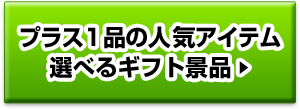 プラス1品の人気アイテム選べるギフト景品