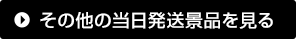 その他の当日発送景品を見る