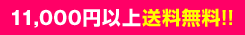 11000円以上送料無料