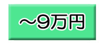 `9~̌iiZbg