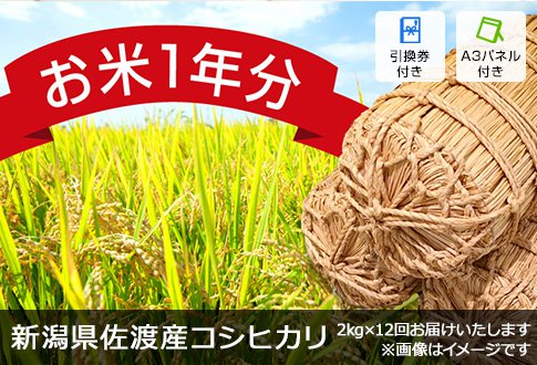 お米一年分新潟県佐渡産コシヒカリ2kg×12 ギフト券